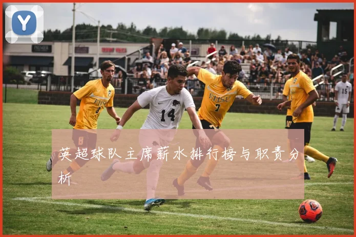 英超球队主席薪水排行榜与职责分析